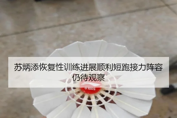 苏炳添恢复性训练进展顺利短跑接力阵容仍待观察 | Bsports